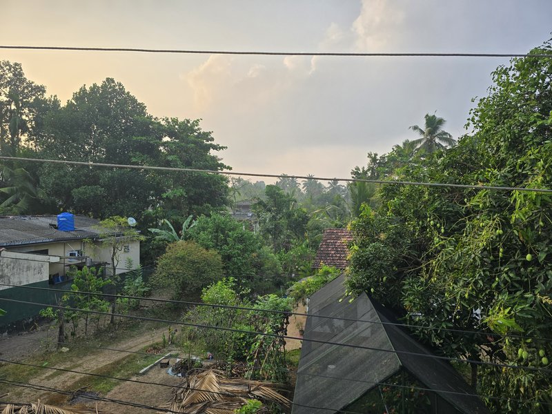 20240311-065949.jpg