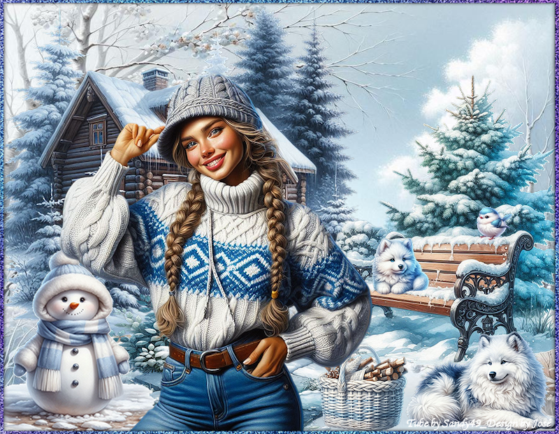 An den Beitrag angehängtes Bild: http://i.postimg.cc/tgjD1X7K/1-winter-frost.png