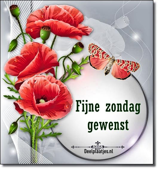 fijne-zondag-010