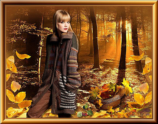 An den Beitrag angehängtes Bild: http://i.postimg.cc/vBj3bw13/tag40.jpg