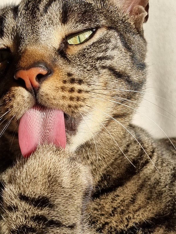 ,.   !
