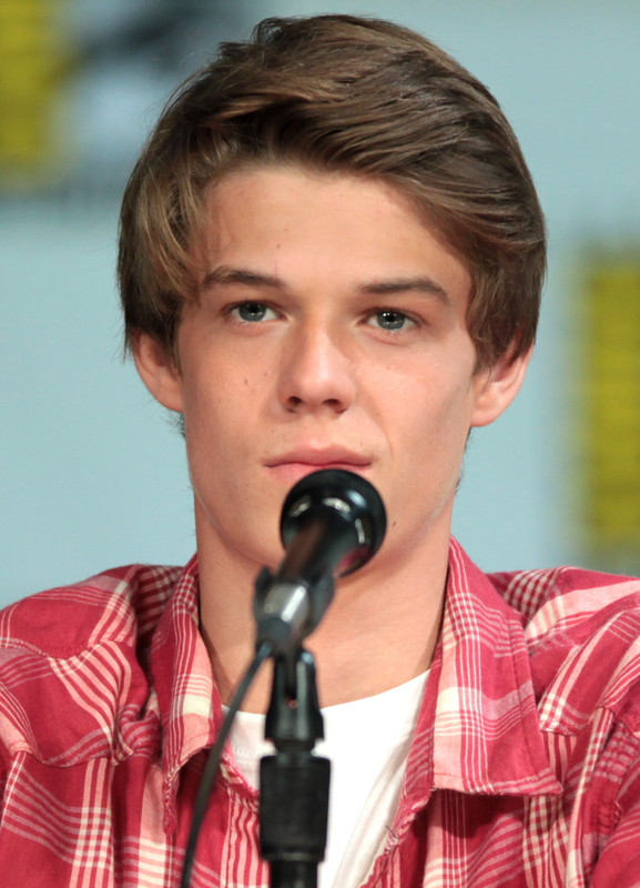 The 27-year old son of father (?) and mother(?) Colin Ford in 2024 photo. Colin Ford earned a  million dollar salary - leaving the net worth at 1.5 million in 2024