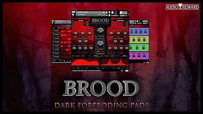 Audio Reward Brood v1.2 KONTAKT