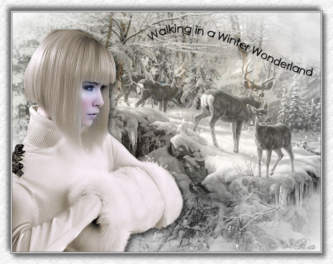 An den Beitrag angehängtes Bild: http://i.postimg.cc/vmvhwhwb/walking-in-a-winter-wonderland.jpg