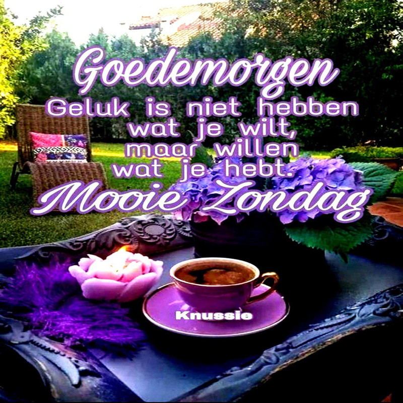 d452904027ae441bf8672cc2b178ee3a-jpg-Henk