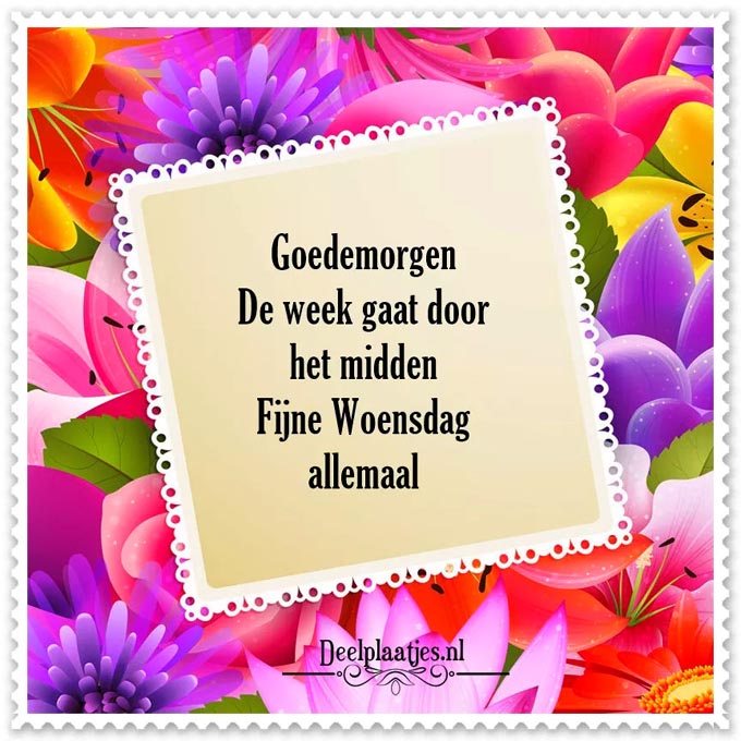 deelplaatjes-nl-de-week-doormidden-476303