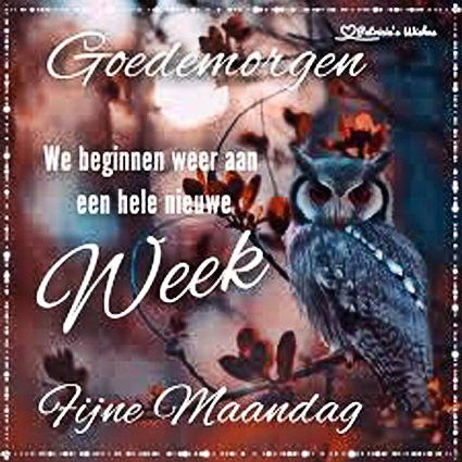 Week