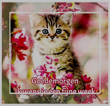 hele-fijne-week