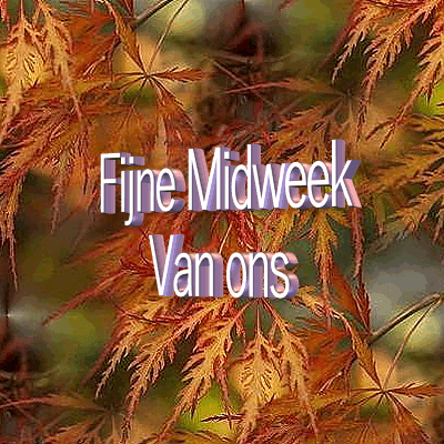 Miidweek