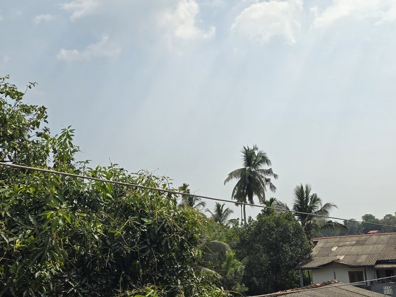 20240311-143719.jpg