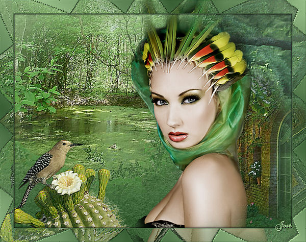 An den Beitrag angehängtes Bild: http://i.postimg.cc/zfbRpGxX/Image4-woman-of-nature.jpg