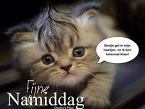 33eeab5f49b8d5a87b27a7c58c400e64