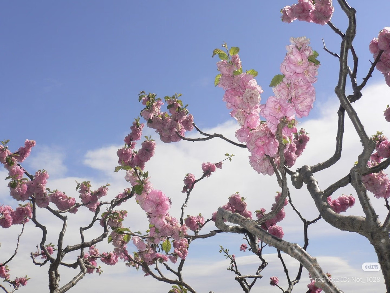 photo 1 2026 01 10 15 50 34