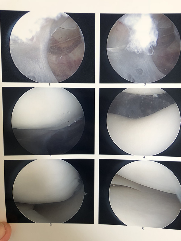 6FEF3246-1679-4678-816A-A0BF89DC212E