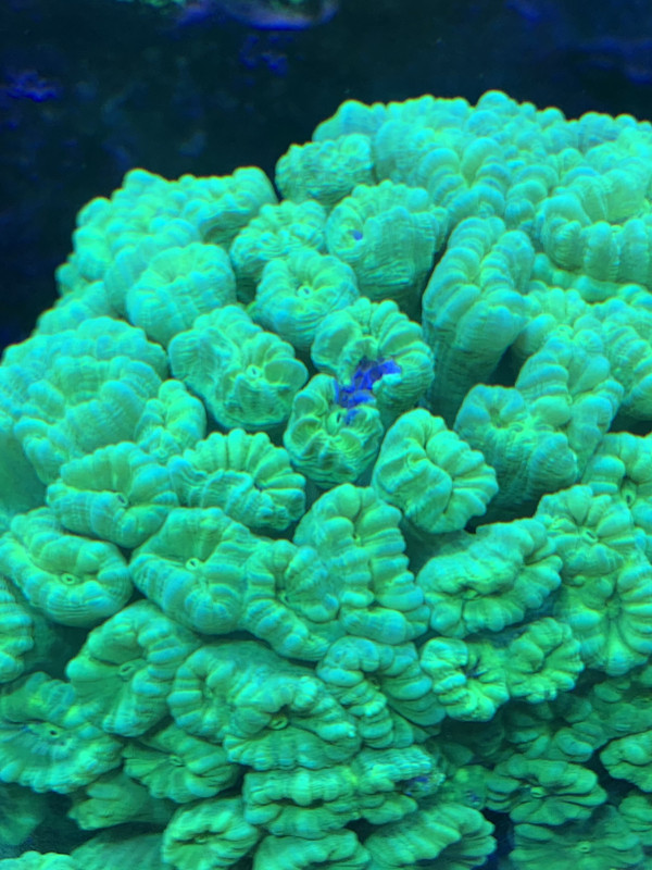 5B2753A4-7050-4E5C-888E-A2E2BC62BC75