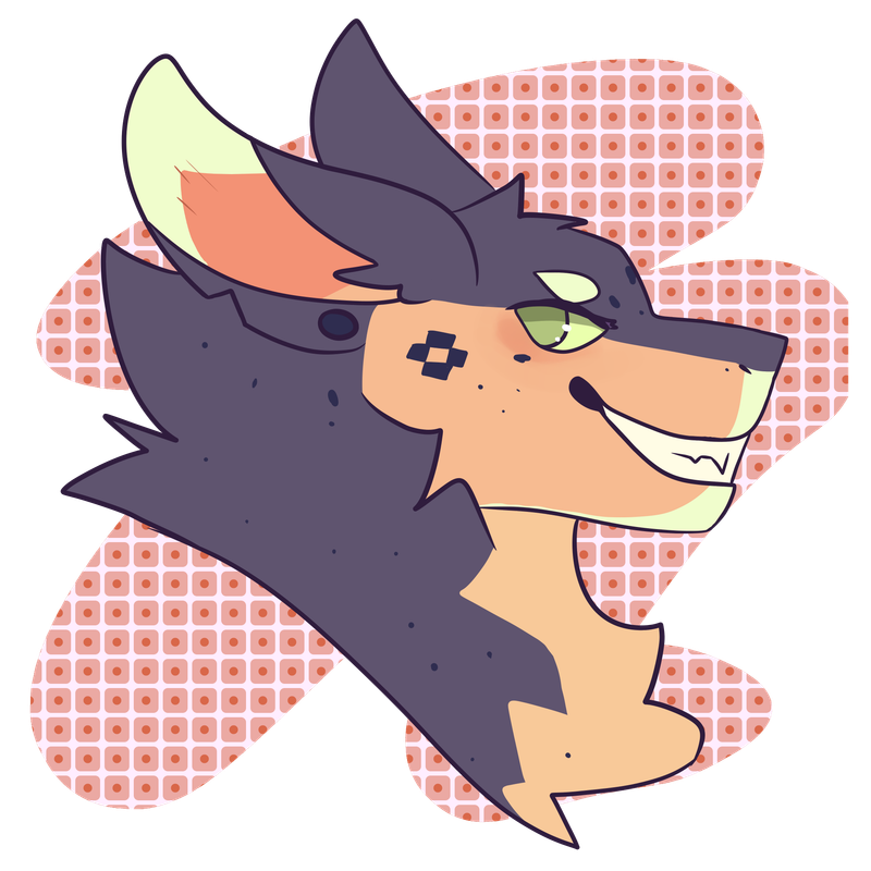 19740248_BBgiGV8NVgZ40OT