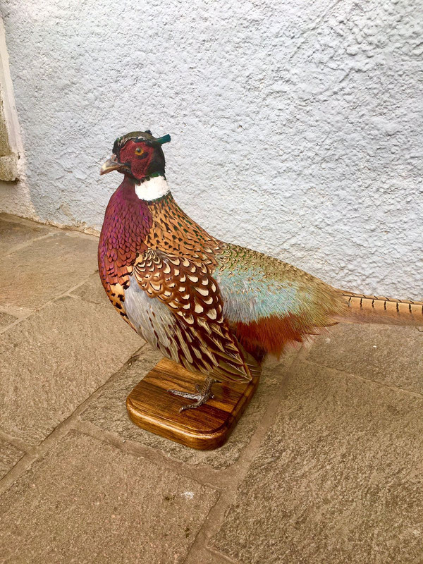 EDC1C119-9B04-4992-8E84-AF51CC946A00