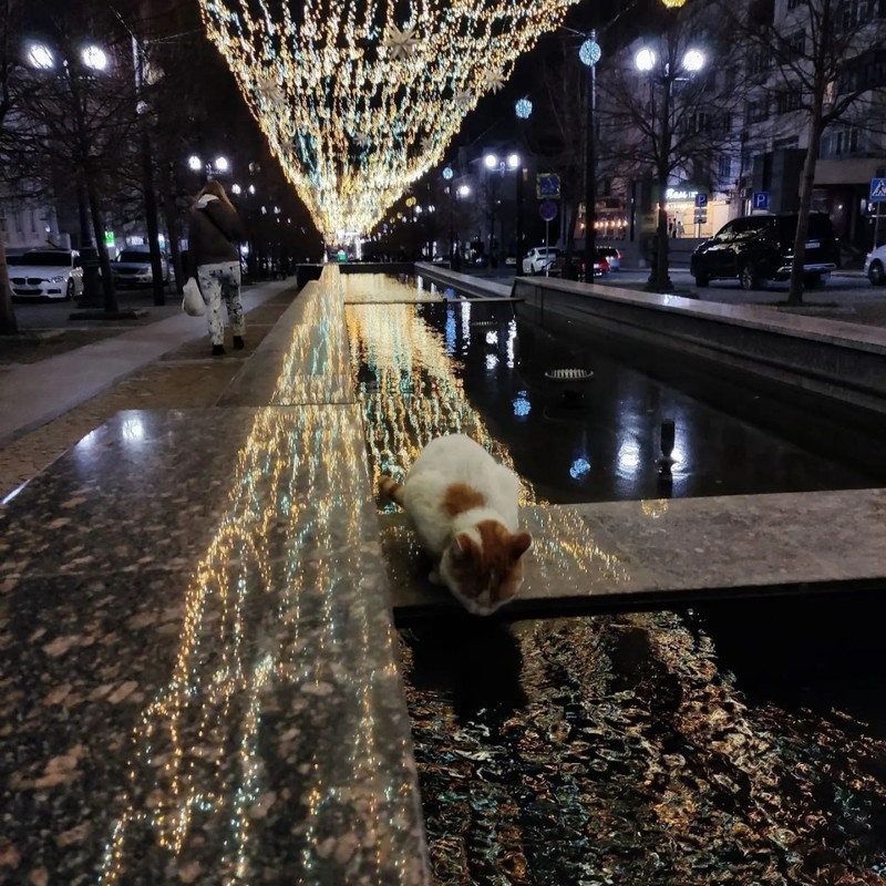 IMG_20240318_221037_028