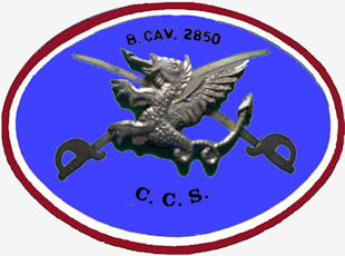 BCav2850-CCS