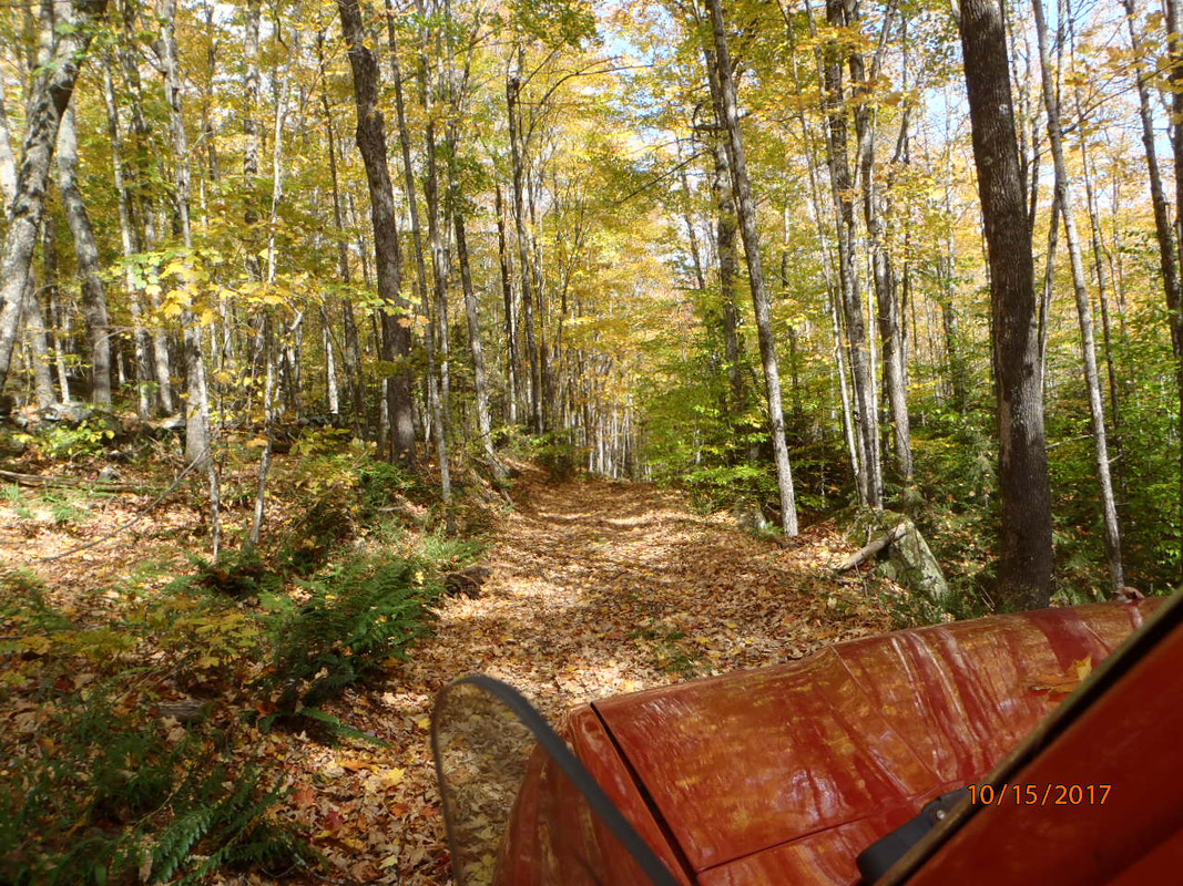 PA150120.jpg