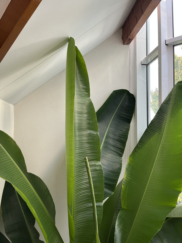 DBE424DC-597A-4F23-8263-45F1816AA5E8