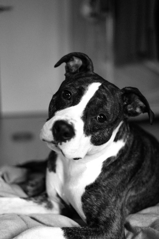 F163CBEF-77F9-437D-9A3D-96938DAEF03F