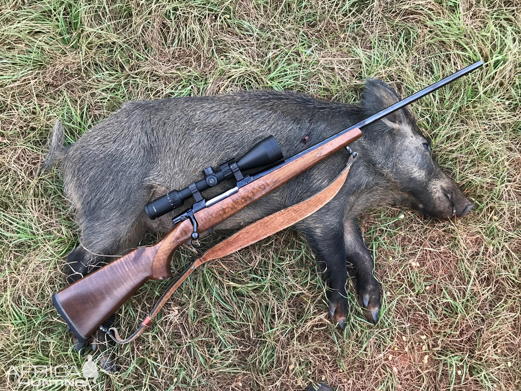 85DF35F5-D6D9-4D6C-8FAB-E21206D552D6