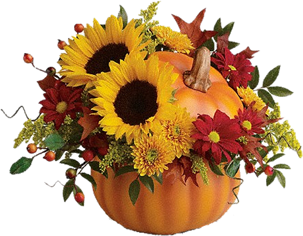 Indian Summer36