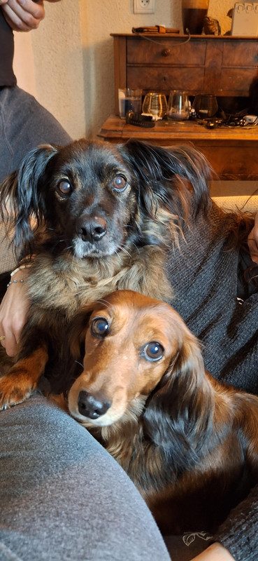 [Image: unnamed-6.jpg]