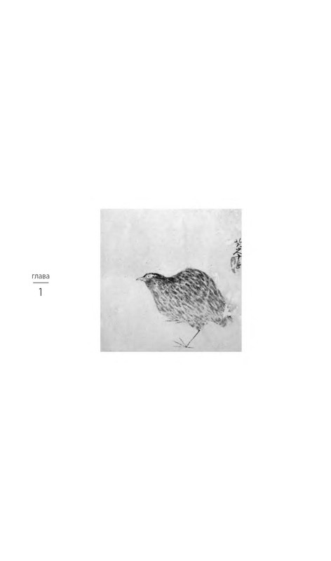 p0006
