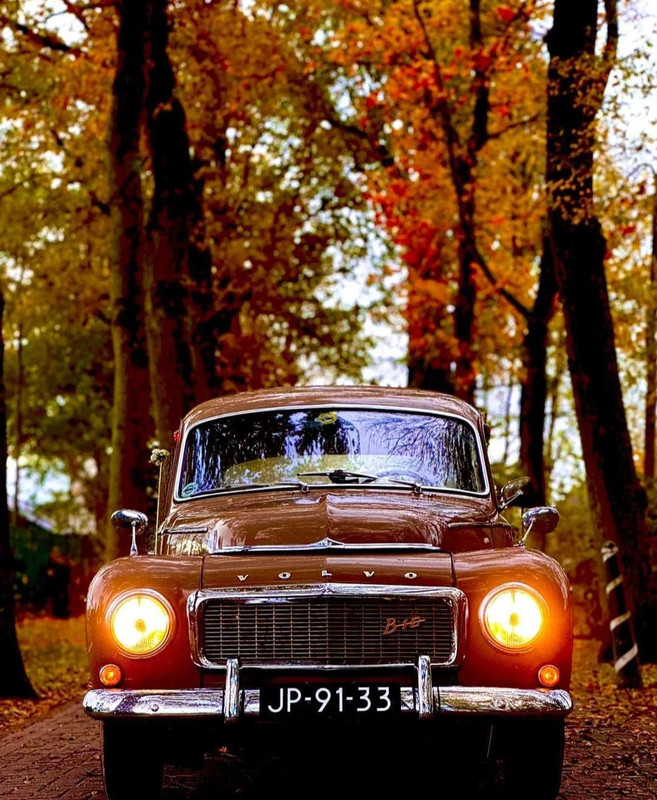 Screenshot_20231206_225453_Instagram