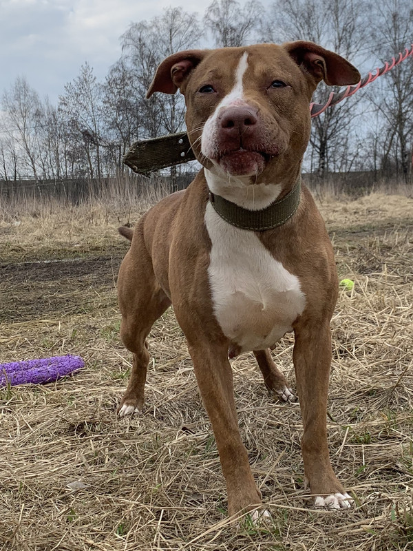 image-09-04-23-05-38-31 (1)_edit_605979312596075