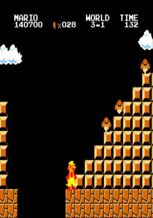 Mario Bros Arcade
