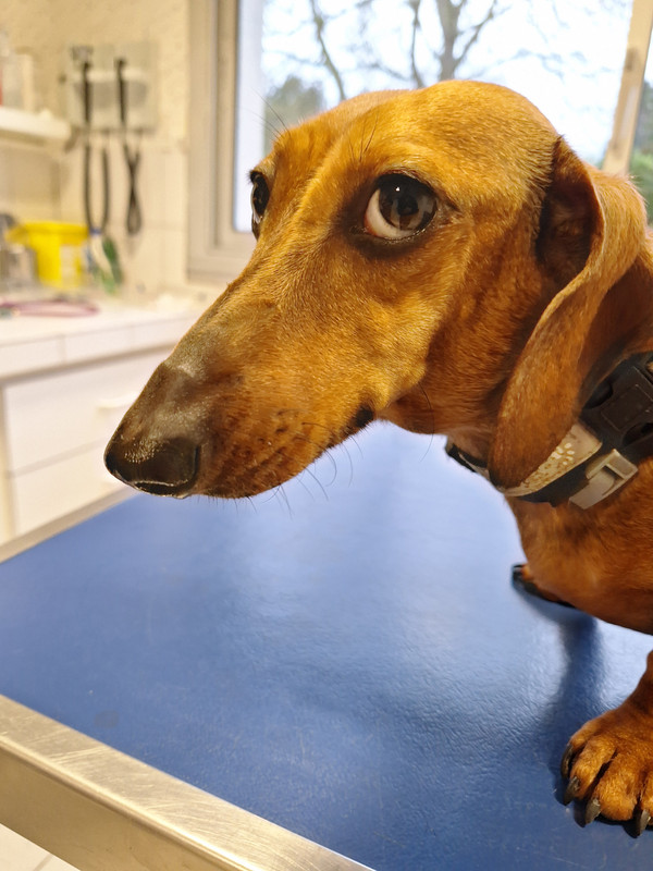 [Image: 20240221-171713.jpg]