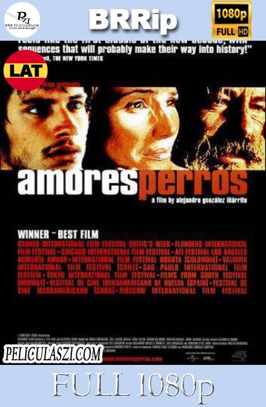 Amores Perros (2000) Full HD BRRip 1080p Dual-Latino