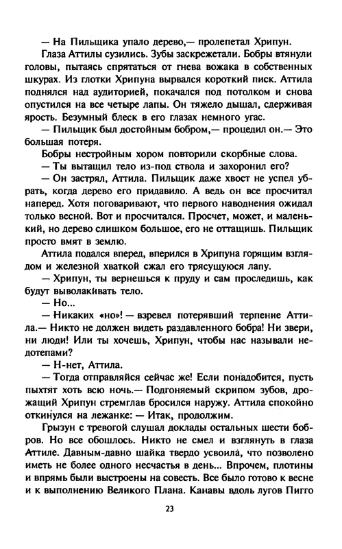 Kouni-Kot-po-imeni-Sabrina-0026