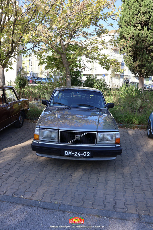 IMG 7197