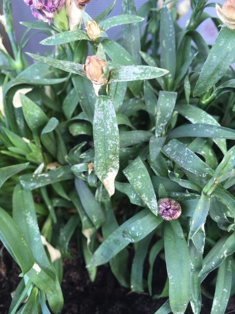 608B0461-B6E0-46F8-9EB3-F8AC2379269E