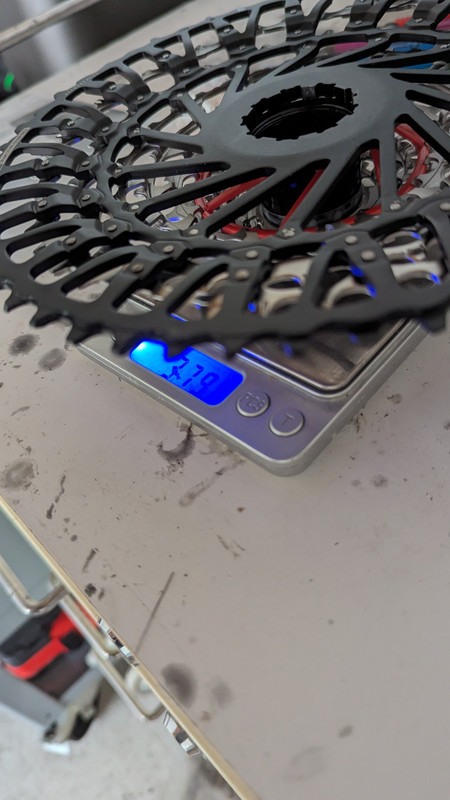 PXL_20240329_161349550