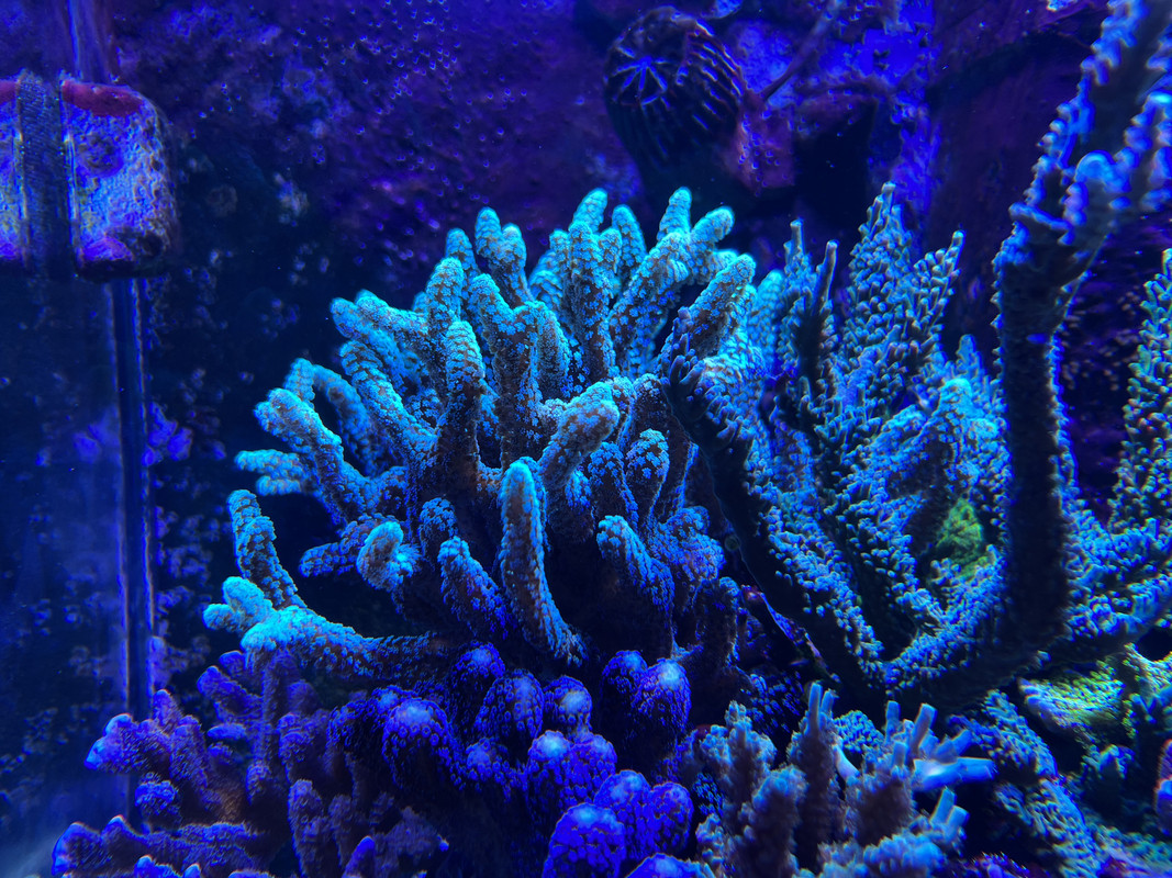 15937A21-254B-4E36-BA74-79648AD2F1C8