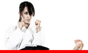 Learn Beginner Tang Soo Do Karate - Level 4 (2023-07)