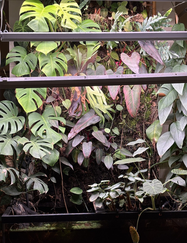 Living Wall120125