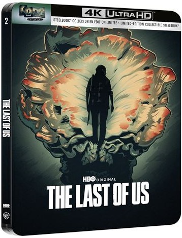 The-Last-Of-Us-S2.jpg