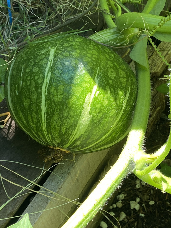 2DF4F3BF-B231-4390-ACEF-FD7BEEBF98DB