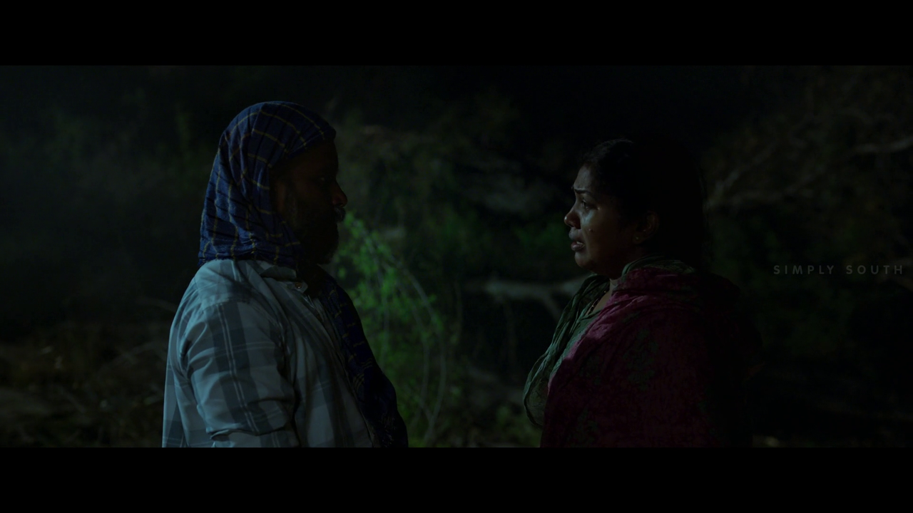 vlcsnap 2025 11 02 13h43m43s818