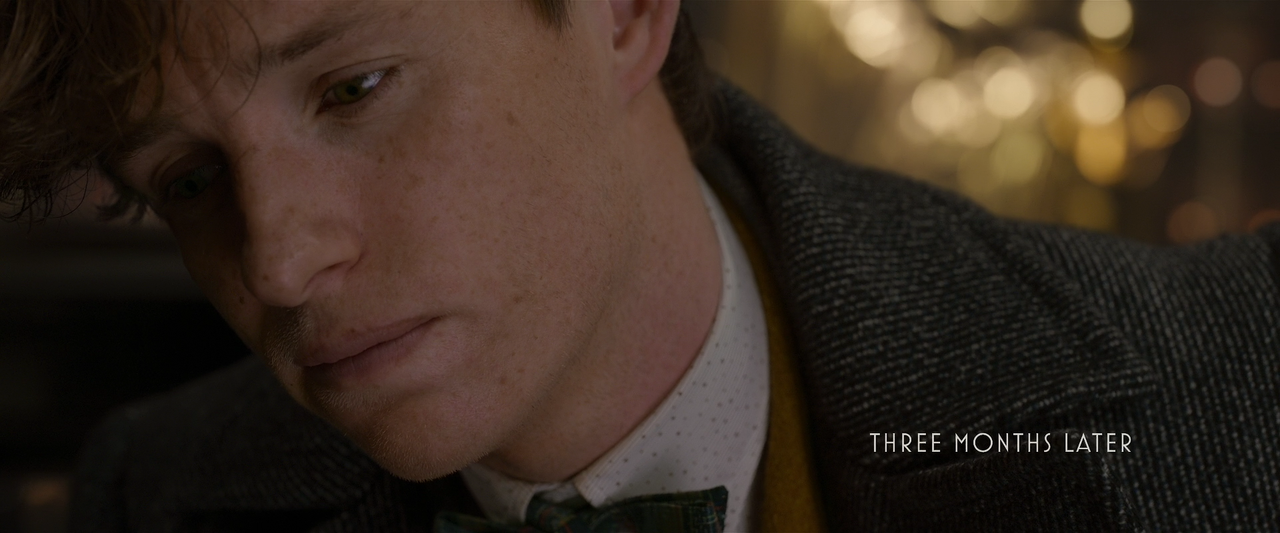 Фантастические твари Преступления Грин-де-Вальда.2018.Расширенная версия.1080p.BluRay.x264-LEONARDO.