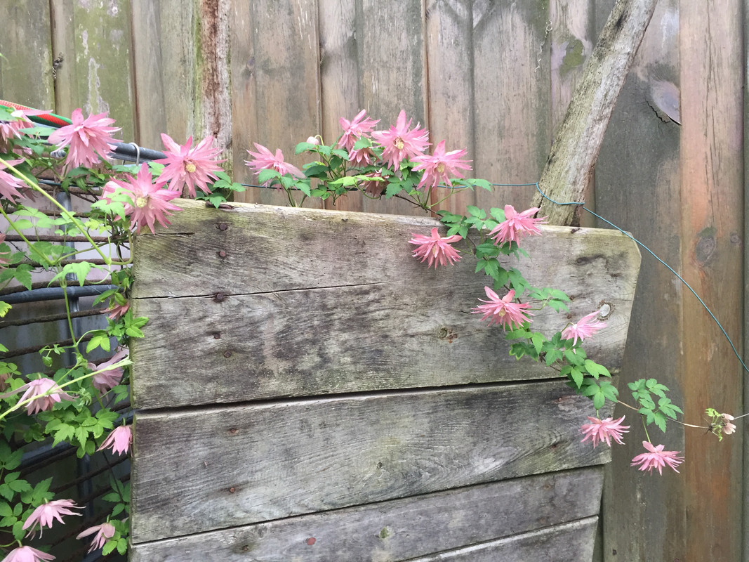 0A497F1C-4C56-44F0-A8F1-CE39CD6691BD