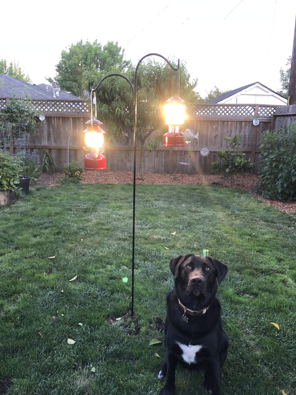 6836C923-2896-4E8F-92C0-729E61442664