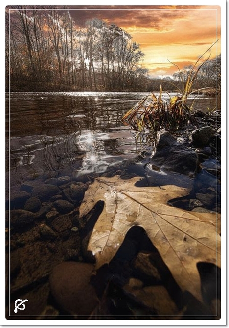 oie-10174943QZoh-SYtz