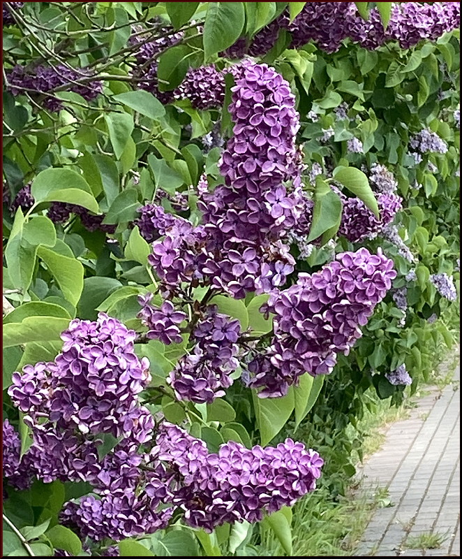 https://i.postimg.cc/024wbP38/3.jpg